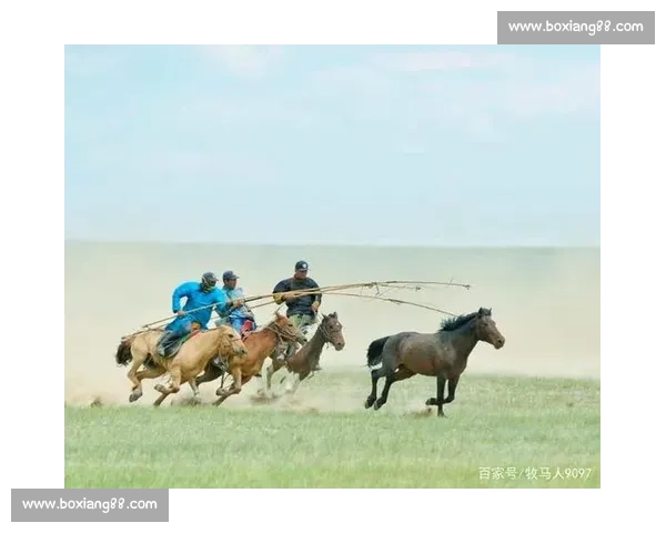 马背天骄：锡林郭勒草原驯马人的传奇与传承