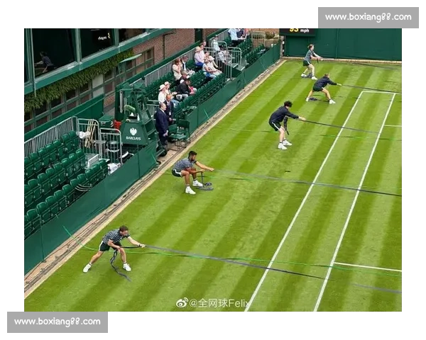 温网「雨布魔法」：百年草地的守护者