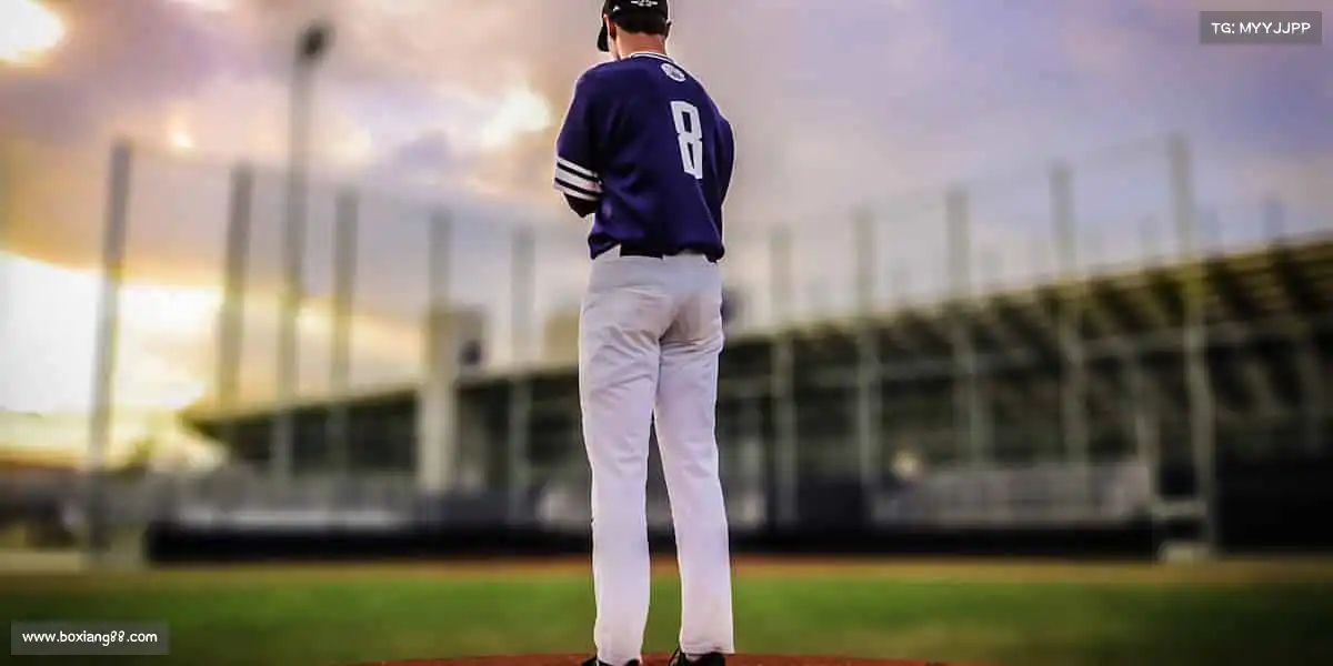 行业领先的理由